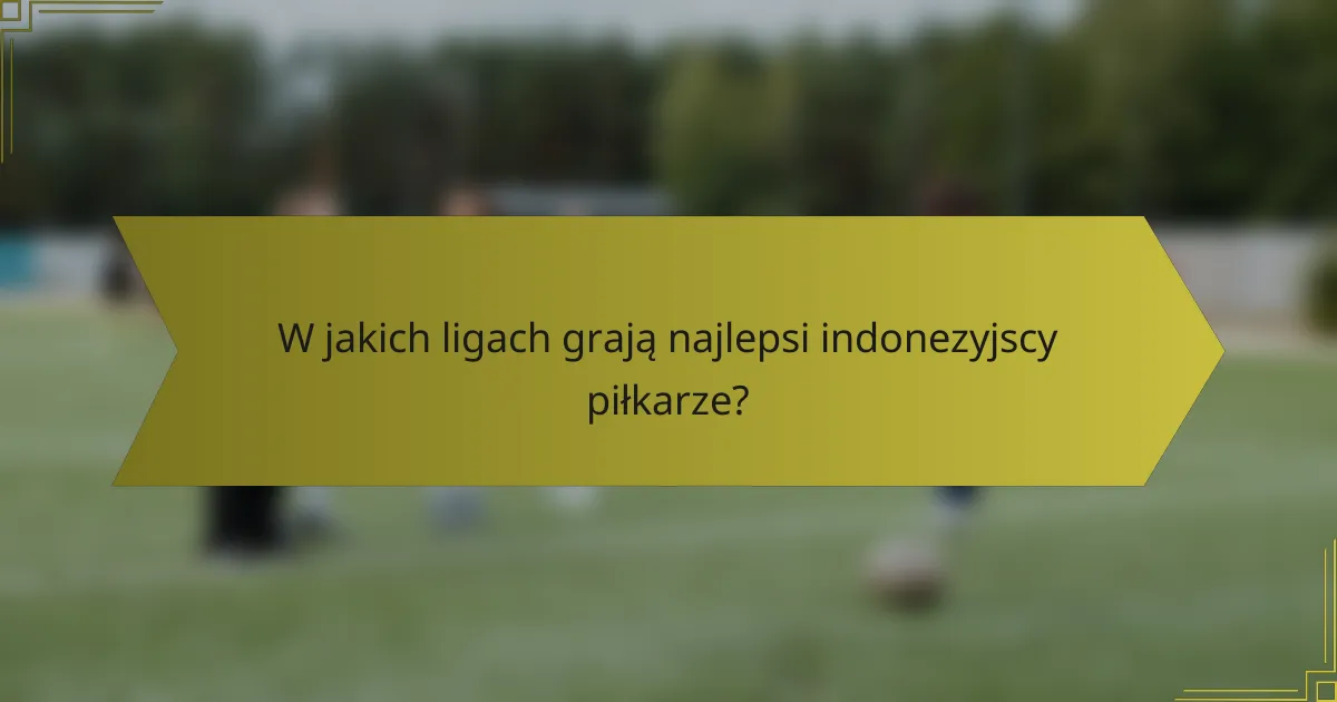 W jakich ligach grają najlepsi indonezyjscy piłkarze?